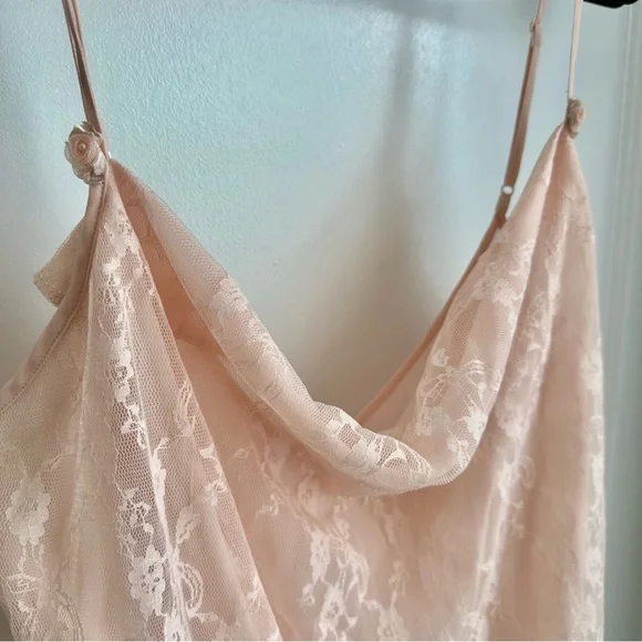 Pale Peachy-Pink Sheer Nightie with Floral Lace Overlay - Picture 3 of 6